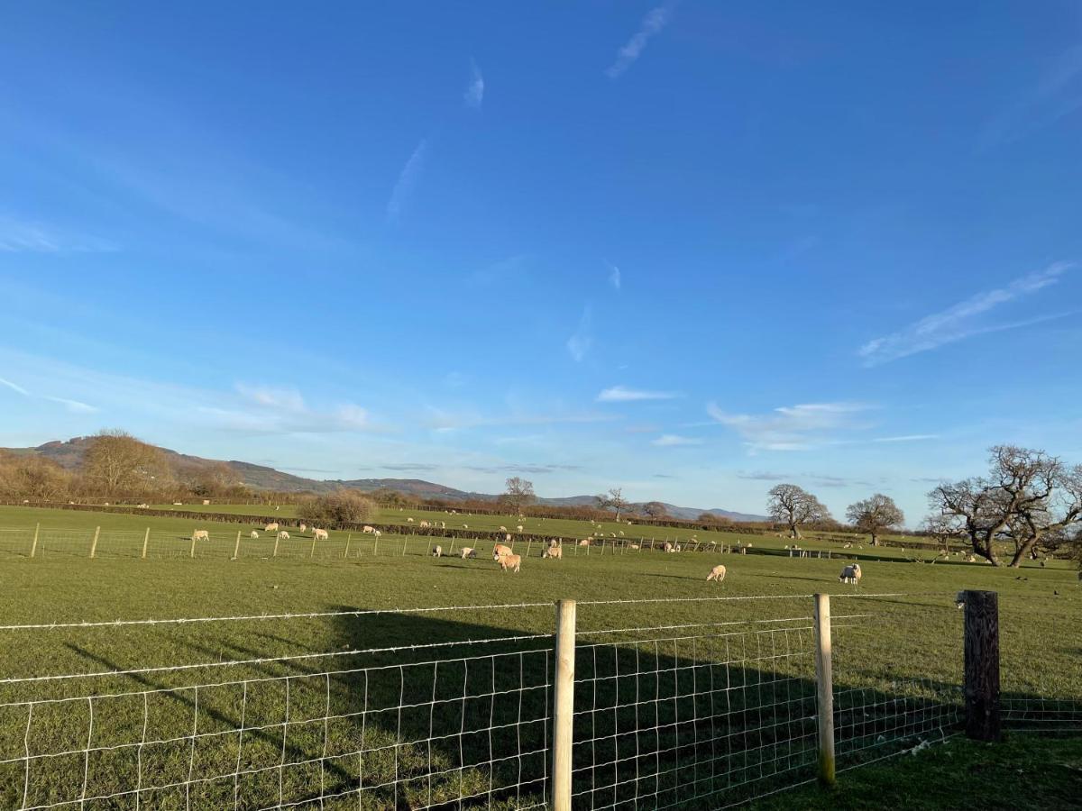 Abbey Farm Luxury Glamping Otel Rhuddlan Dış mekan fotoğraf