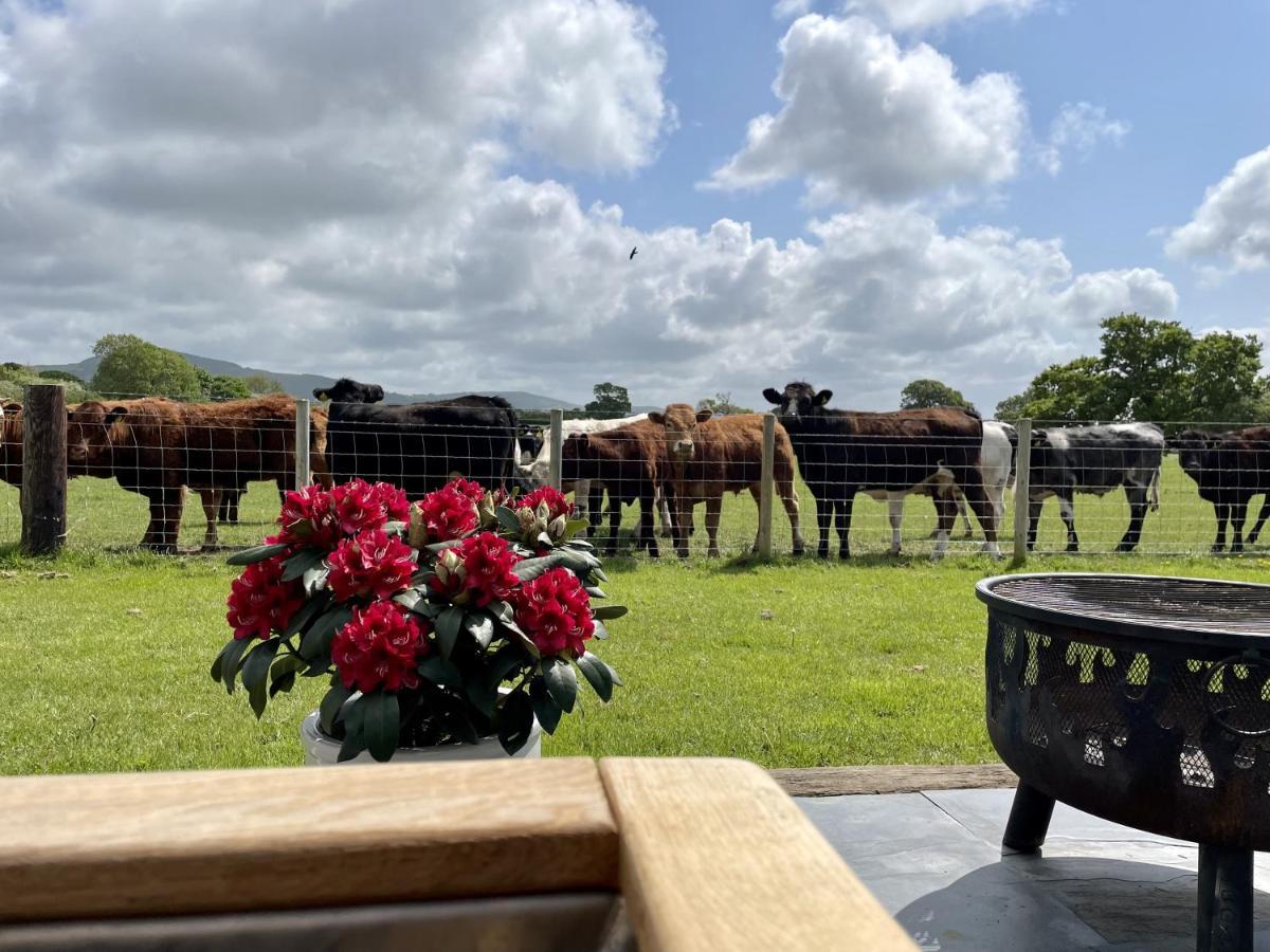 Abbey Farm Luxury Glamping Otel Rhuddlan Dış mekan fotoğraf